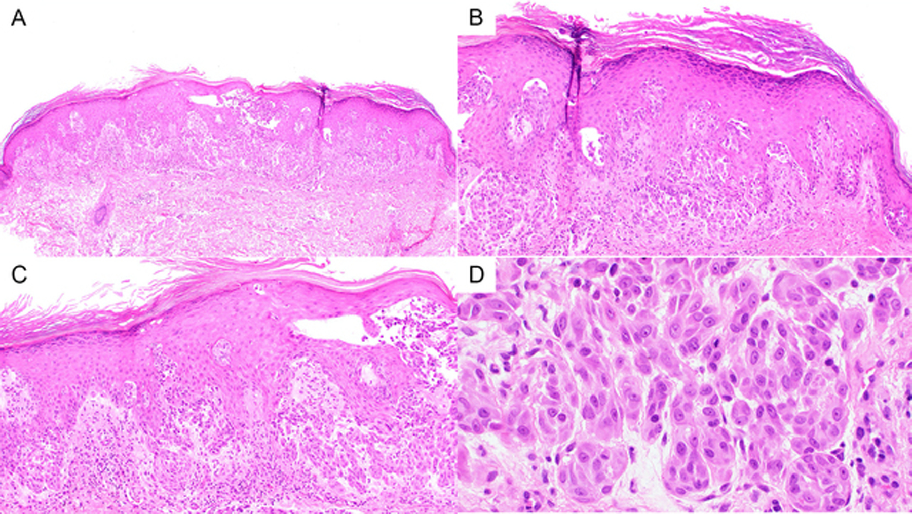 Figure 2)