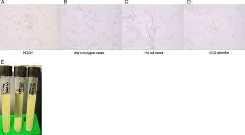 FIG. 5.