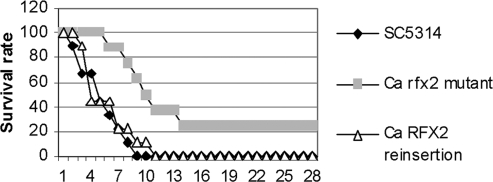 FIG. 8.