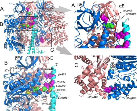 FIGURE 1.