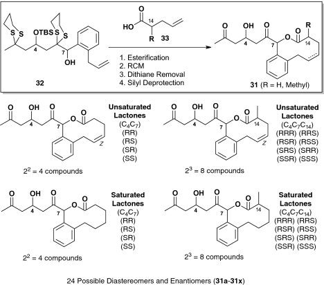 Scheme 5.