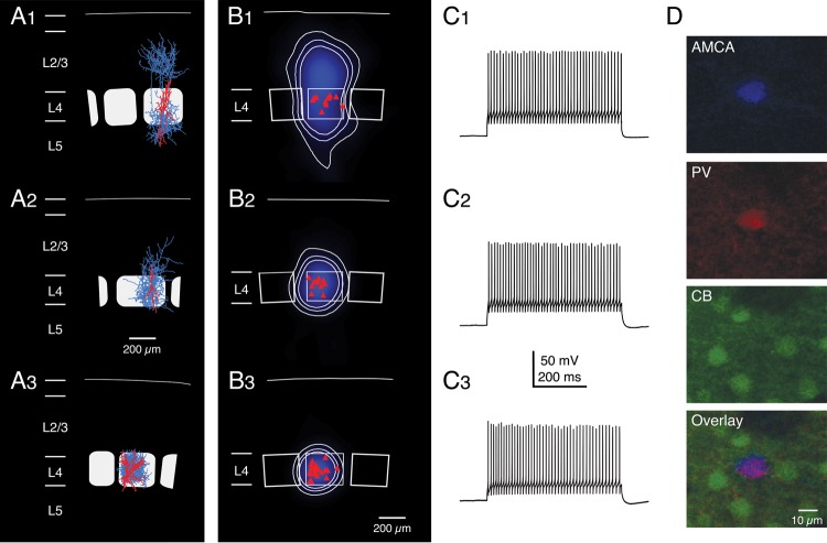 Figure 3.