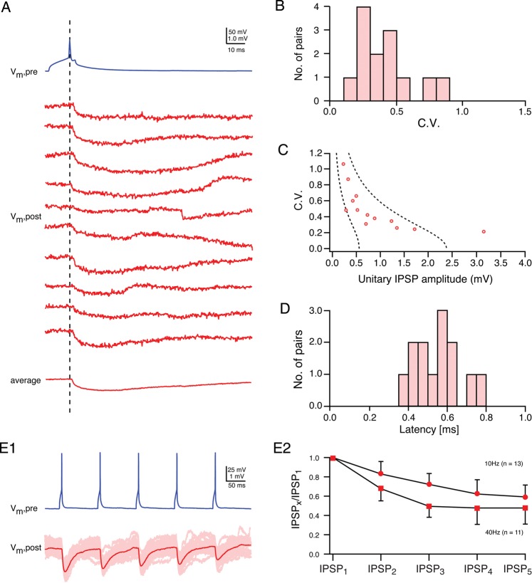 Figure 4.