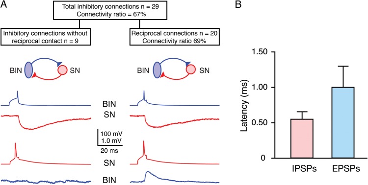 Figure 5.