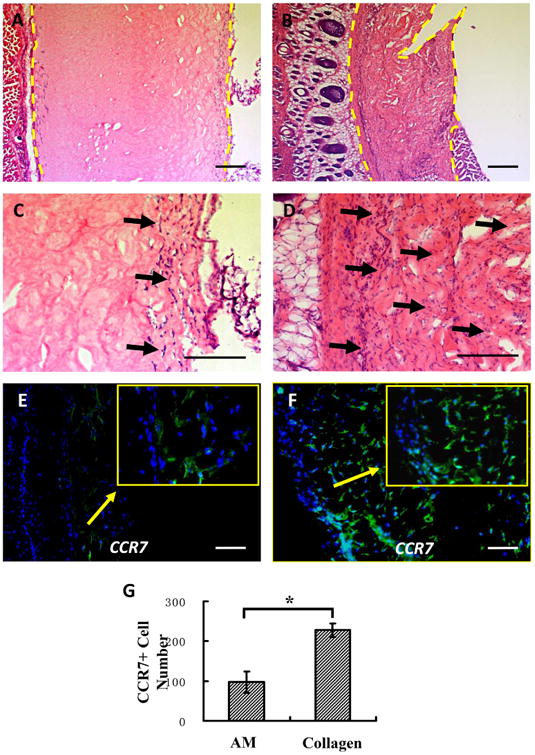 Fig. 11