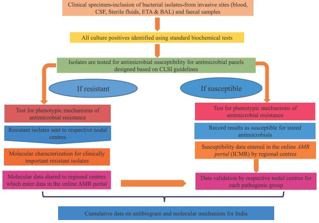 Fig. 2A