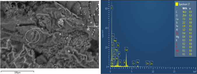 Fig. 11