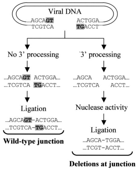 FIG. 6.