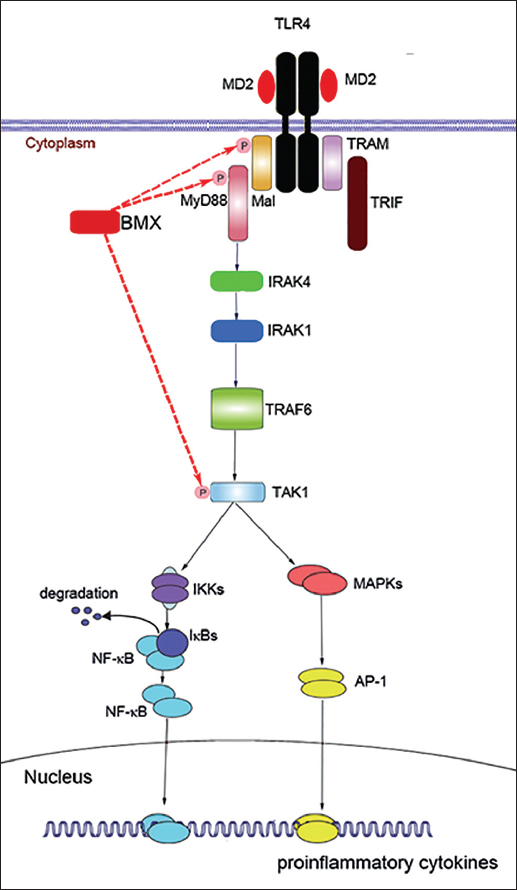 Figure 2: