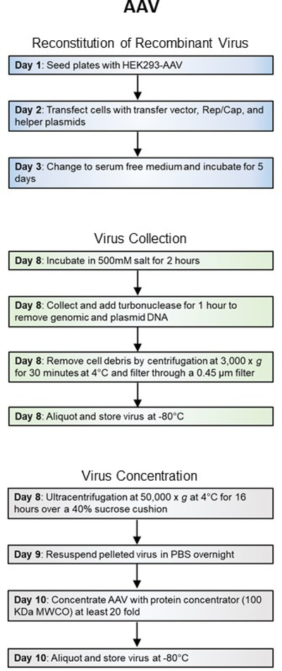 Figure 2A