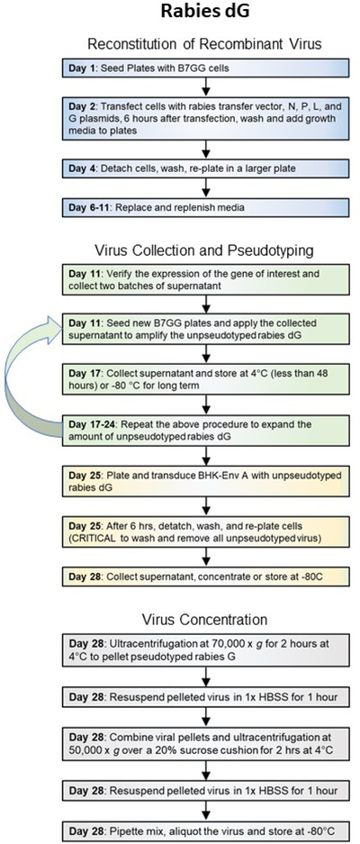 Figure 2C