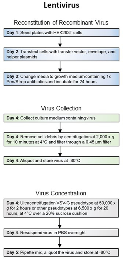 Figure 2B