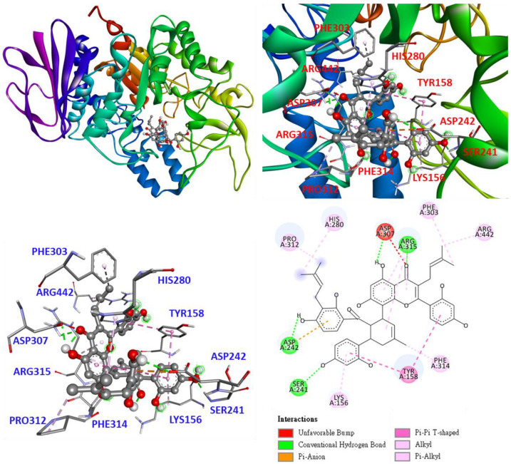 Figure 6