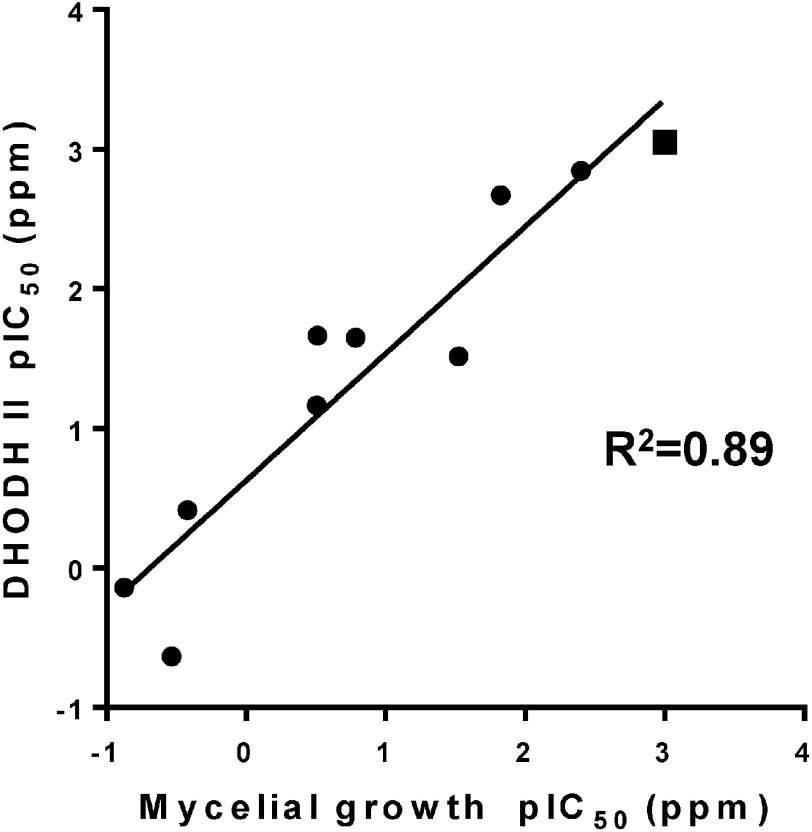 Fig. 5. Correlation of pIC50 values between P. oryzae mycelial growth inhibitory activity (mycelial growth pIC50) and DHODH II inhibitory activity (DHODH II pIC50) with the use of quinofumelin and its analogs. pIC50=−log10IC50; square, quinofumelin; circles, analogs.