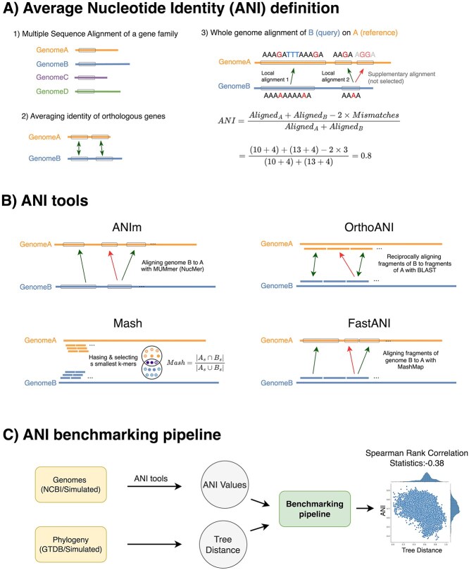 Alt text: A figure presenting an overview of the ANI definition and the EvANI benchmarking pipeline.