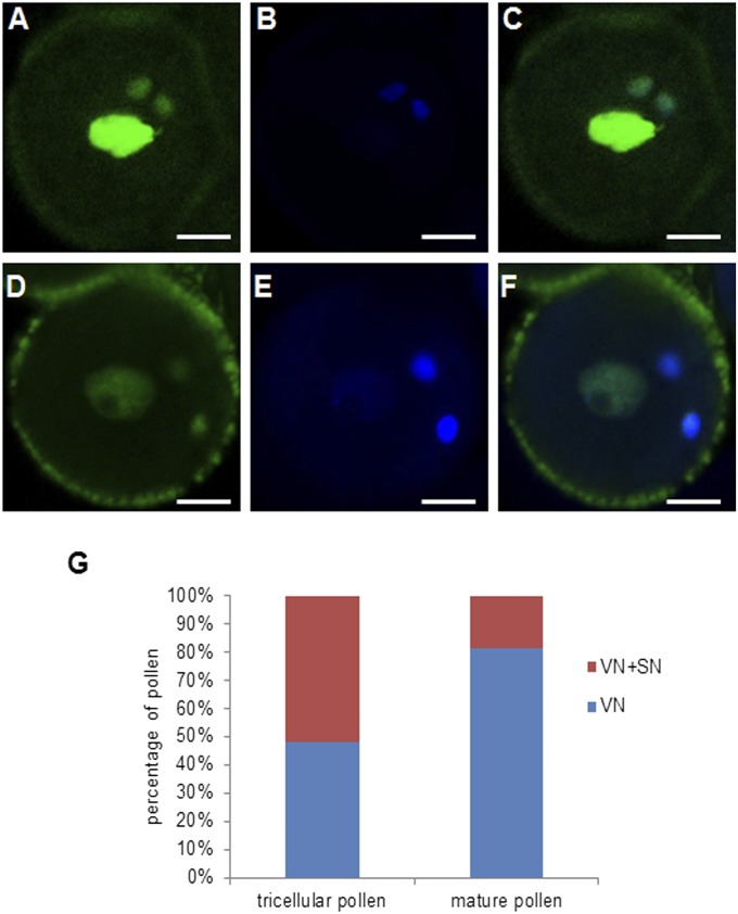 Fig. S6.