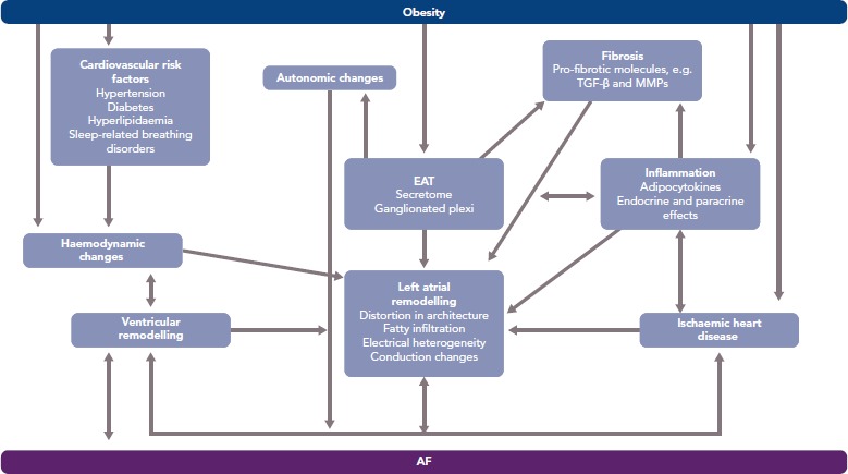 Figure 2: