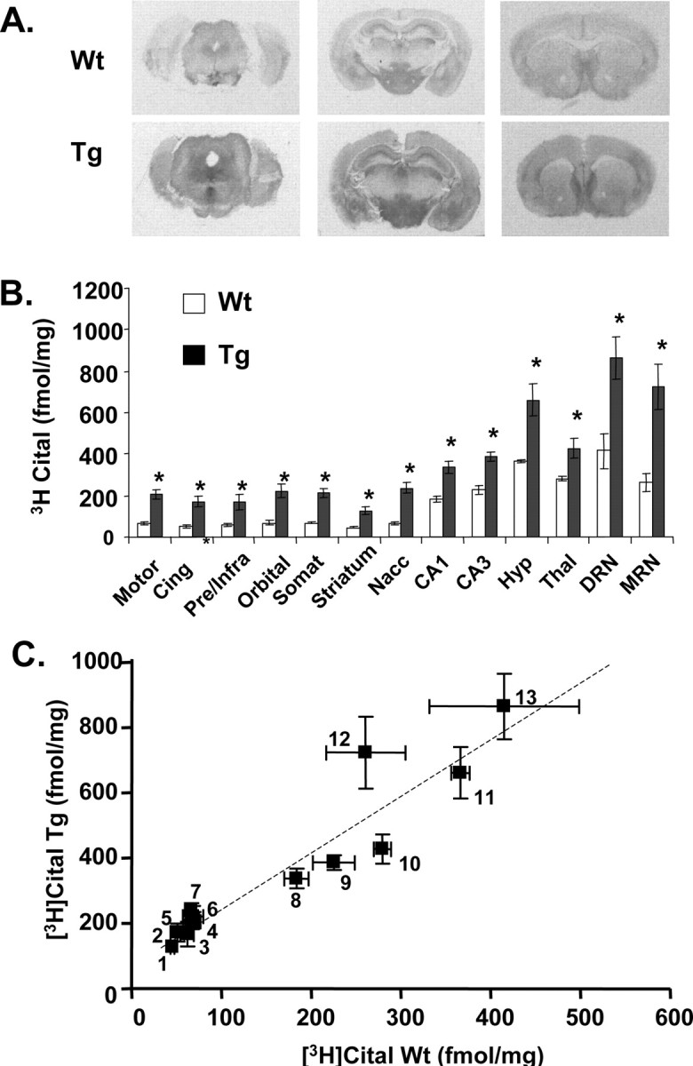 Figure 3.