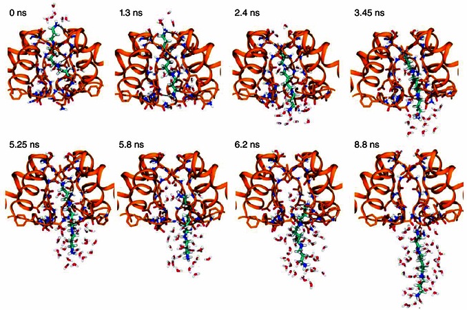 Figure 10