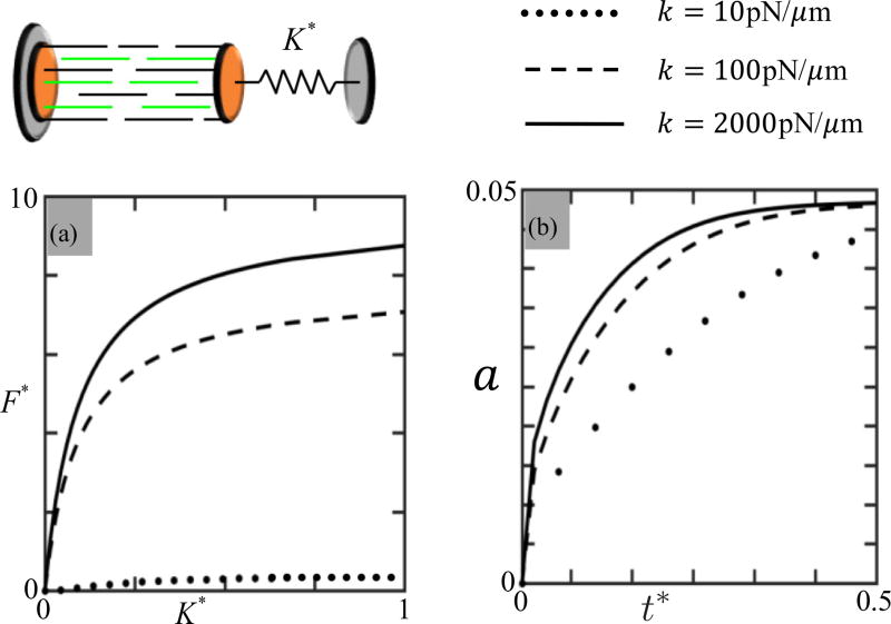 FIG. 11