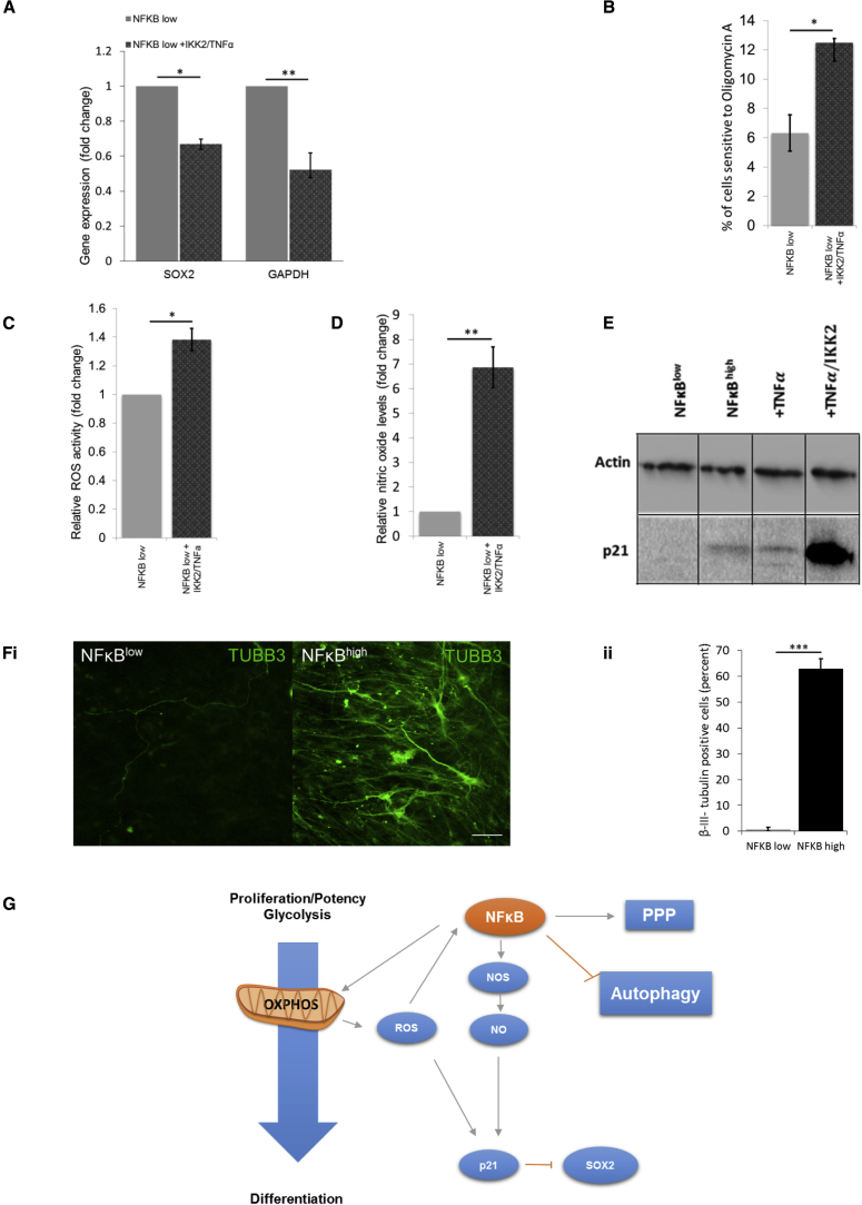 Figure 6