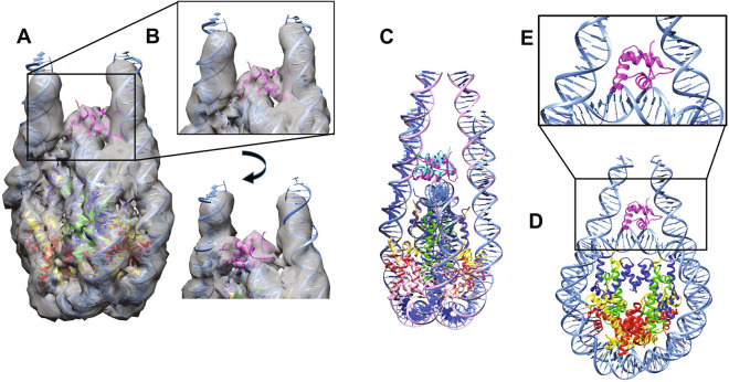 Figure 4