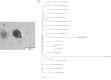 FIG 1
