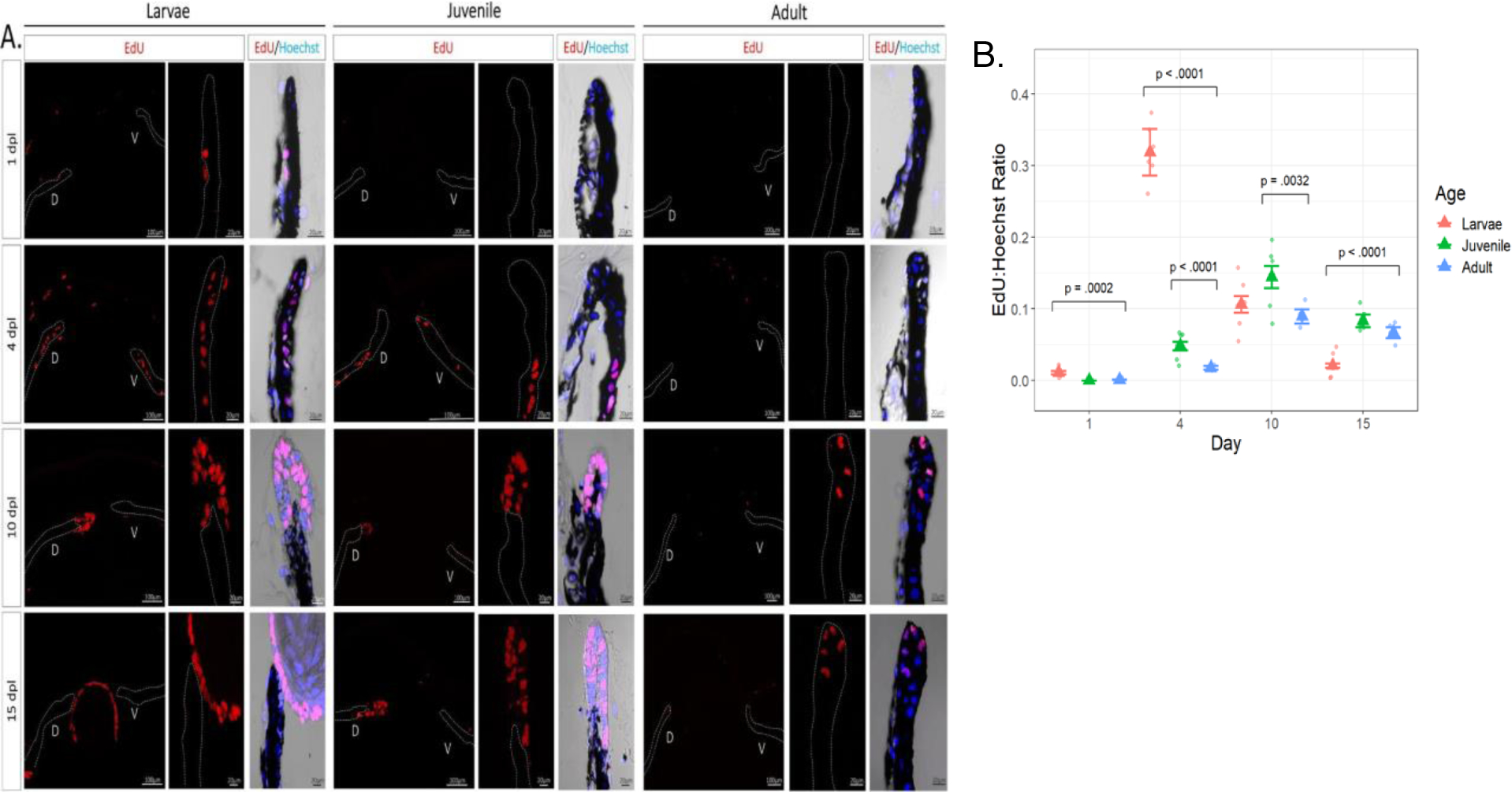 Fig. 4: