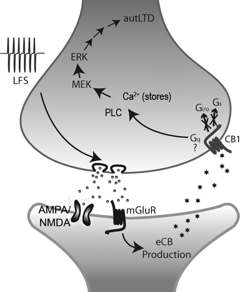 FIG. 9.