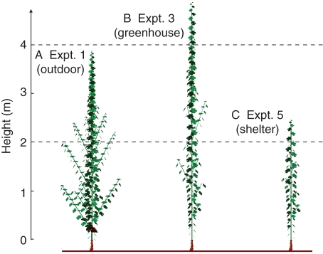 Fig. 4.