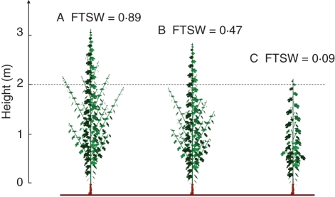 Fig. 5.