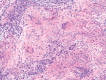 Figure 1)