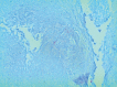 Figure 2)