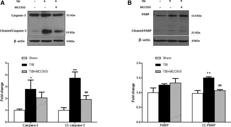 FIG. 7.