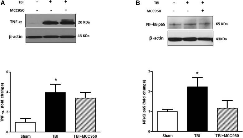 FIG. 6.