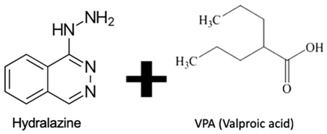 graphic file with name genes-10-00927-i002.jpg