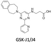 graphic file with name genes-10-00927-i011.jpg