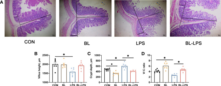 Figure 3