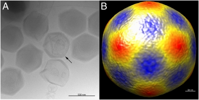 Fig. 2.