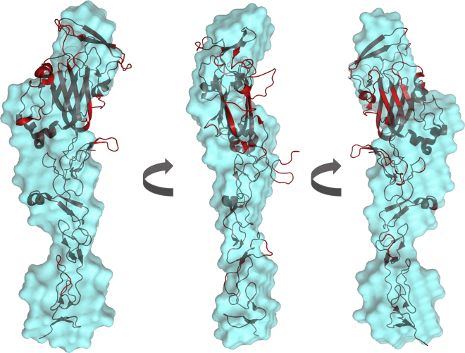 Figure 6