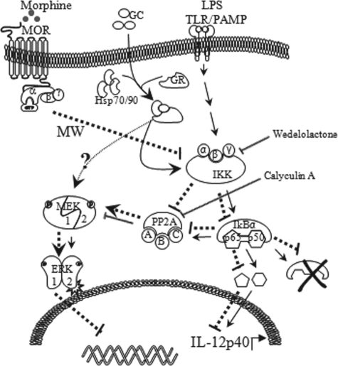 FIGURE 9.