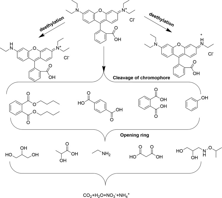 Figure 9