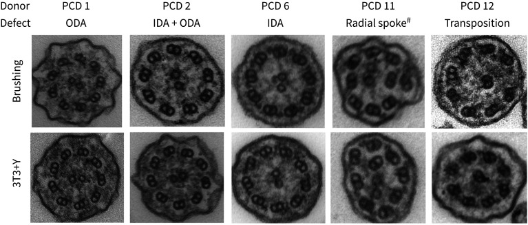 FIGURE 3