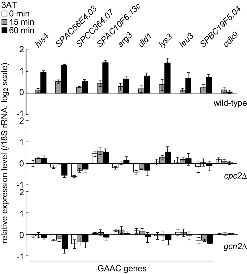 FIGURE 1.