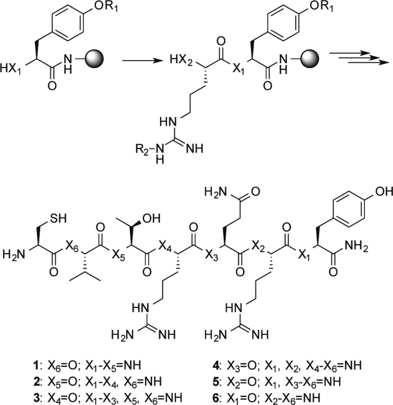 Scheme 1