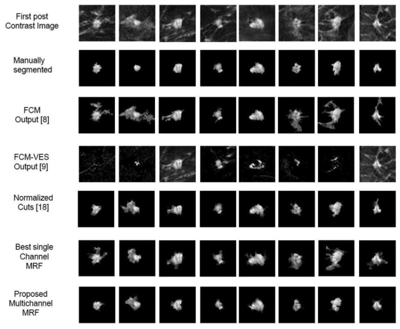 Fig. 7