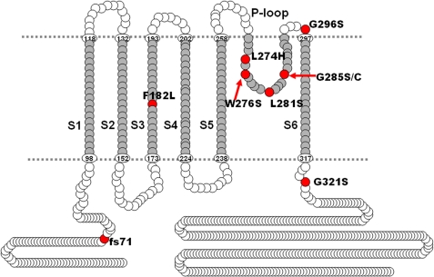 FIGURE 1.