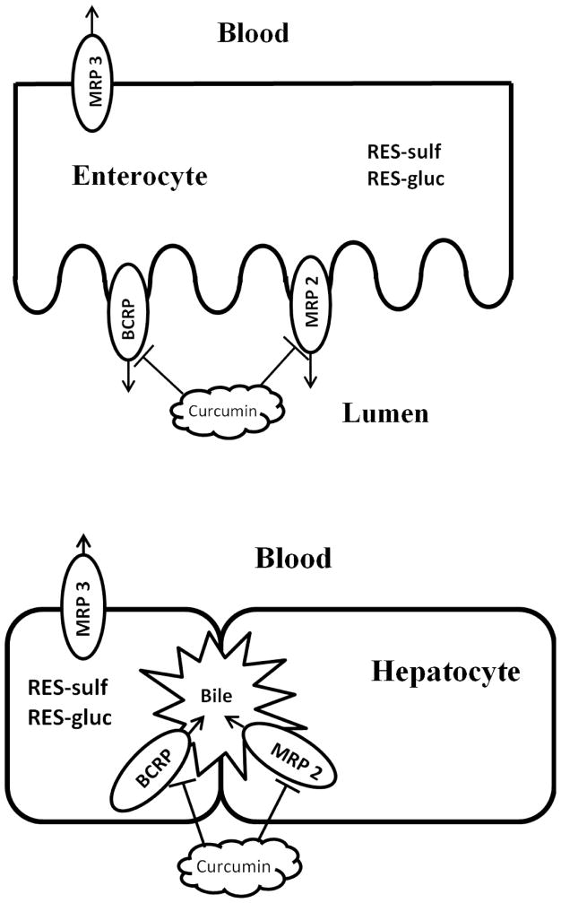 FIG. 6