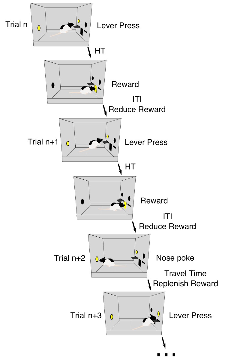 Figure 1—figure supplement 1.