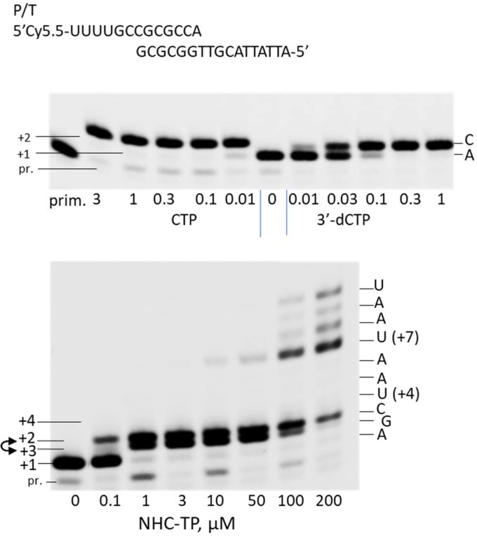 FIG 3